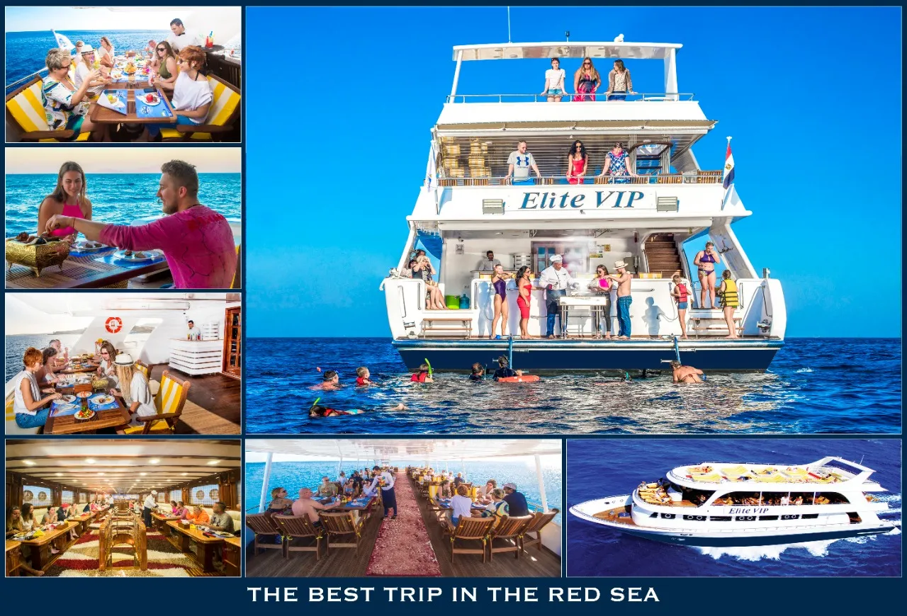 Elite VIP Snorkeling Cruise